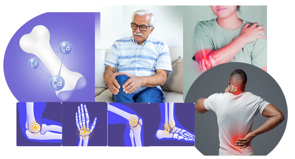 Orthopaedic Care